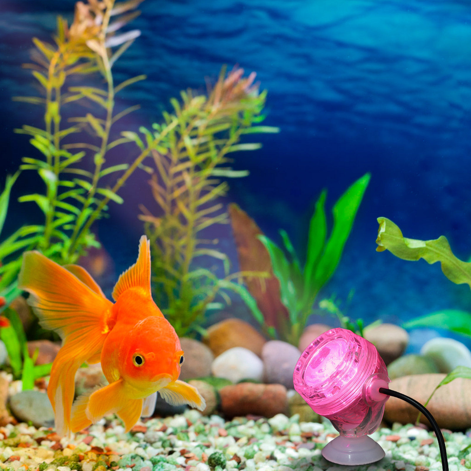 Aquarium Fish Rainbow - LED Aquarium Light Waterproof Color Changing