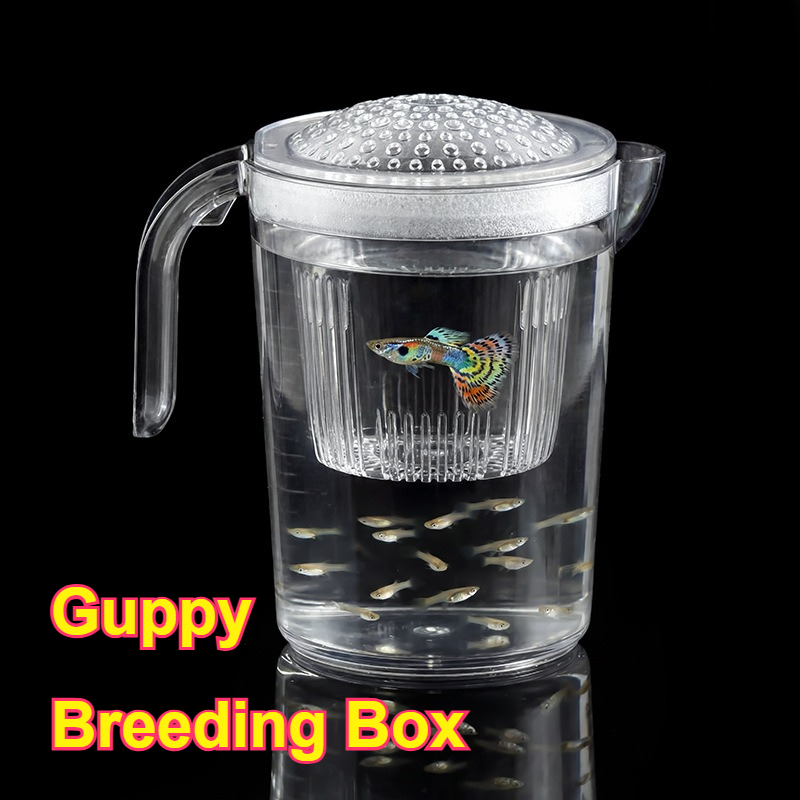 Aquarium Fish Delivery - Fish Fry Small Guppy Breeding Cup