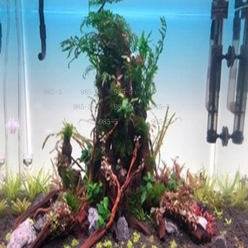 Fish Tank Acrylic Luminous Bac - Aquarium Fish Rainbow review and price