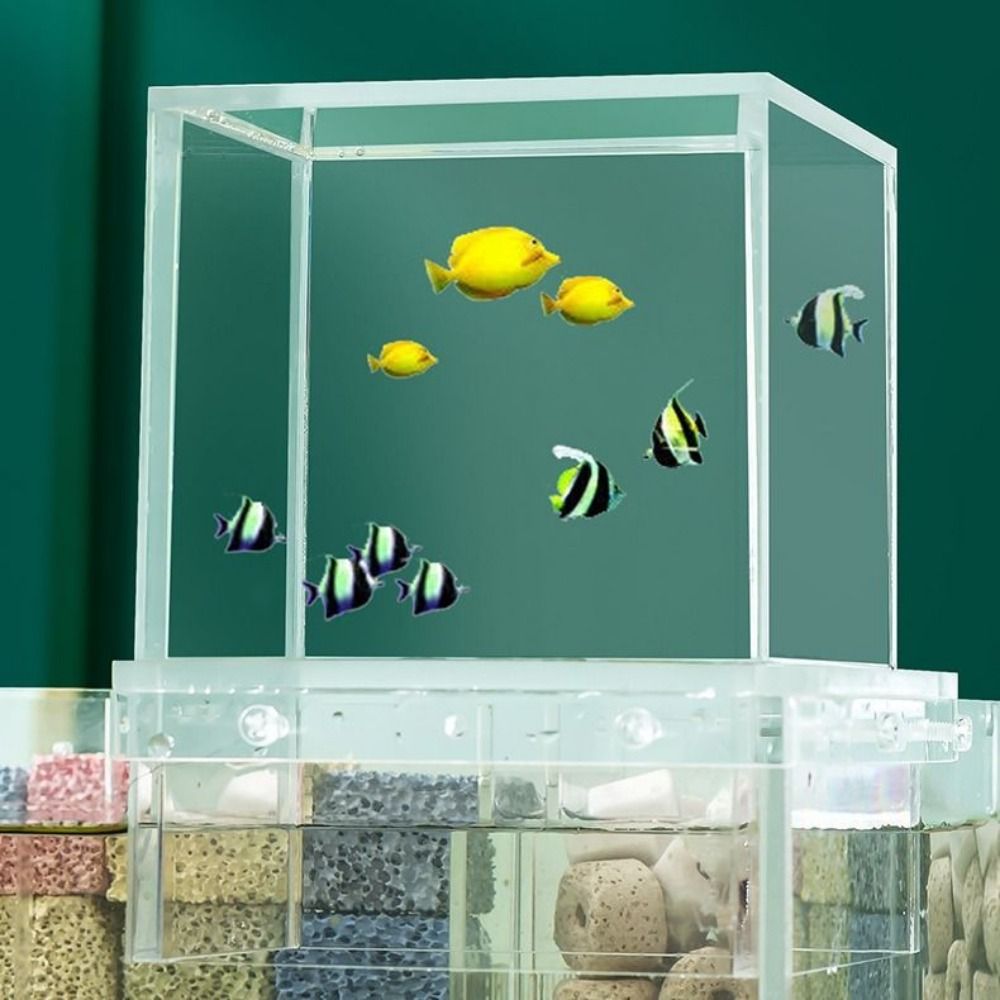 Landscaping Negative Pressure  - Aquarium Xl review and price