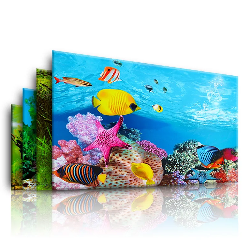 Background for Aquarium 3d  St - Aquarium Fish Enrichment review and price