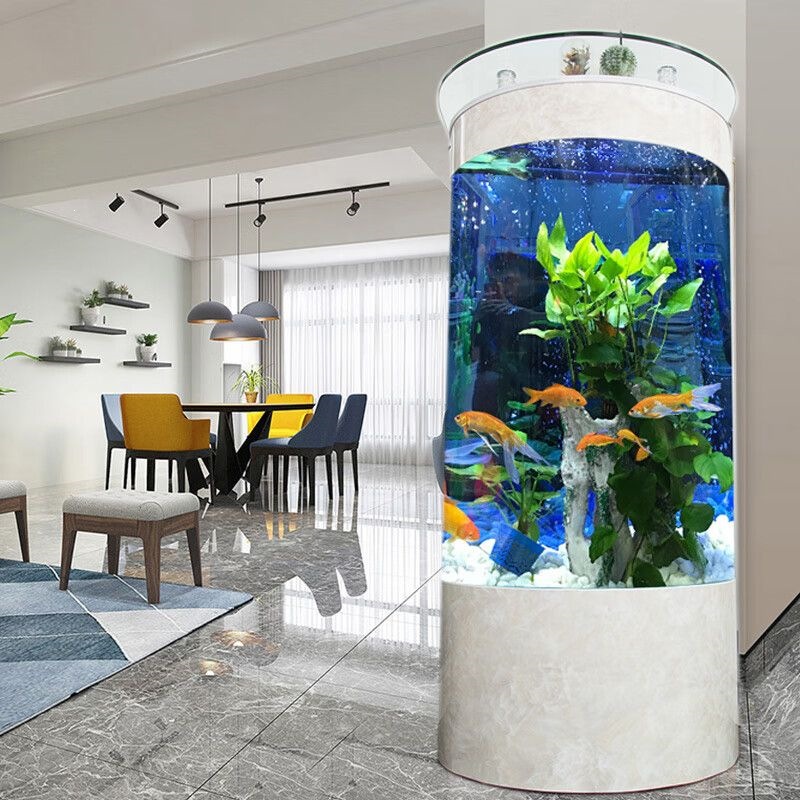 DSA light luxury semi-circular - Aquarium Xl review and price