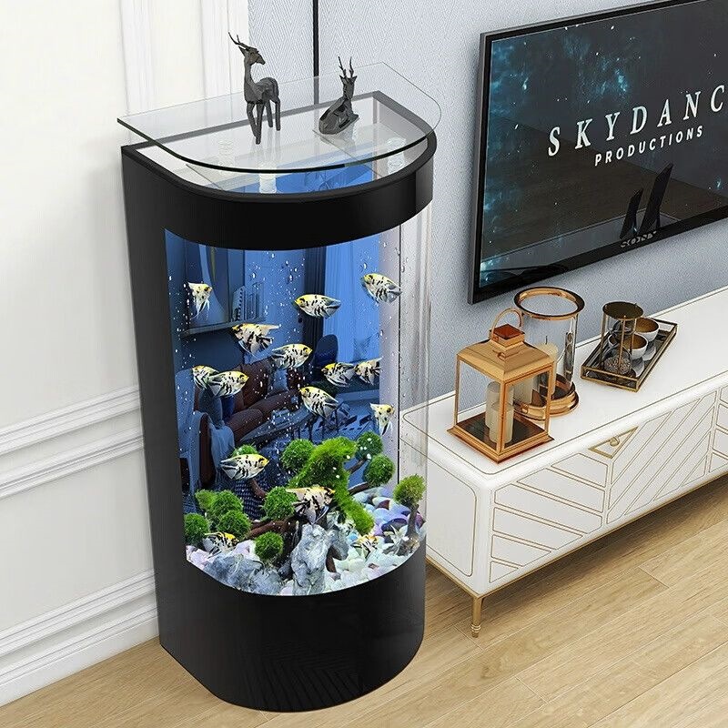 DSA light luxury semi-circular - Aquarium Xl review and price