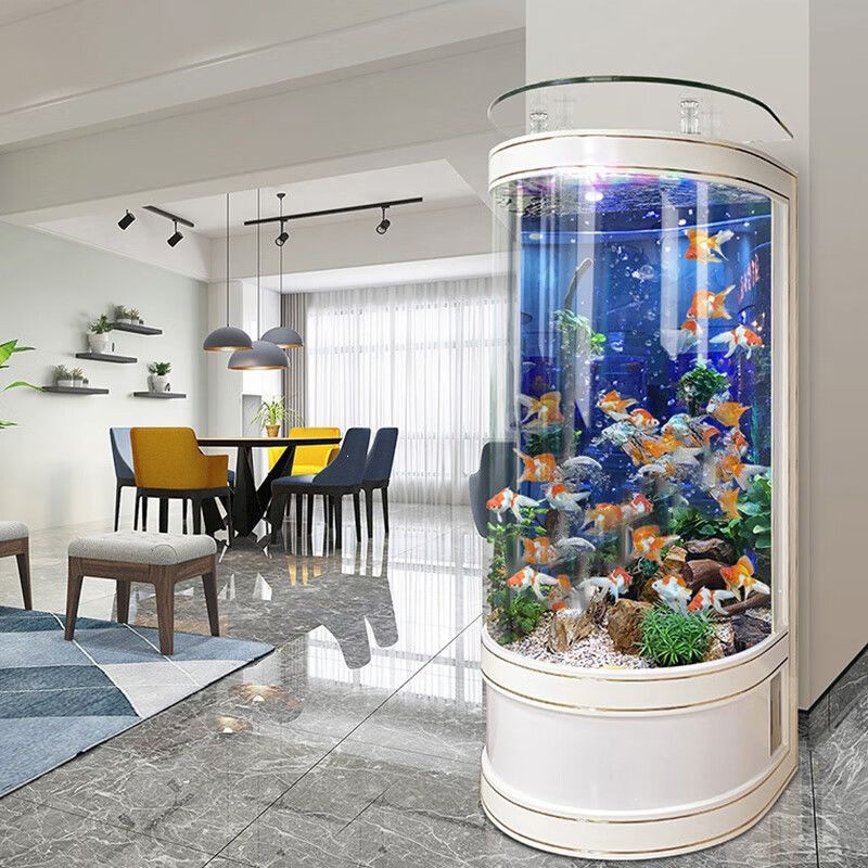 DSA light luxury semi-circular - Aquarium Xl review and price