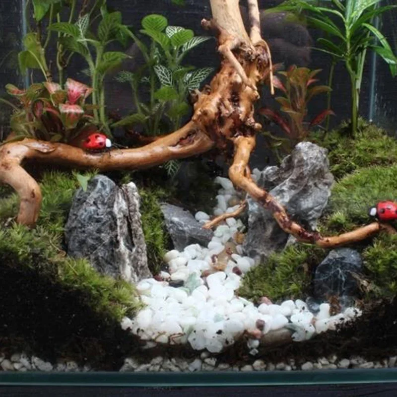 Natural Tree Trunk Driftwood A - Aquarium Fish Enrichment review and price