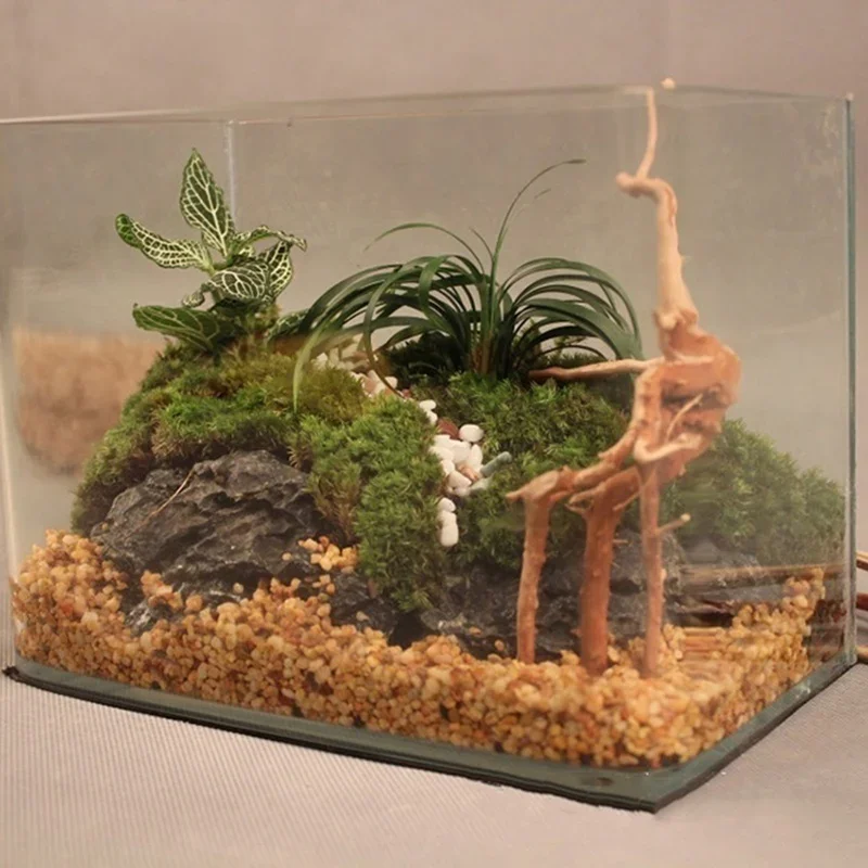 Natural Tree Trunk Driftwood A - Aquarium Fish Enrichment review and price