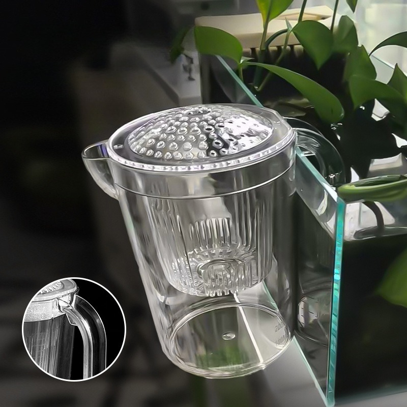 Fish Fry Small Guppy Breeding  - Aquarium Fish Delivery review and price
