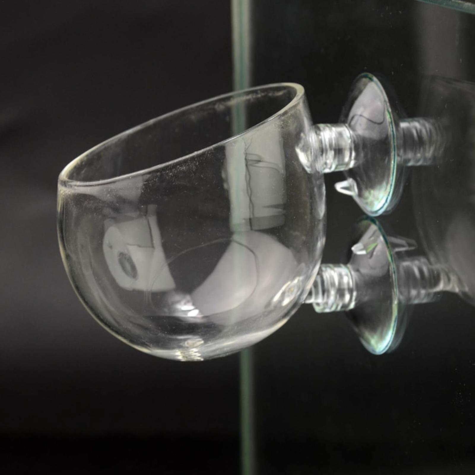 Aquarium Plant Holder Glass Aq - Aquarium Fish Enrichment review and price