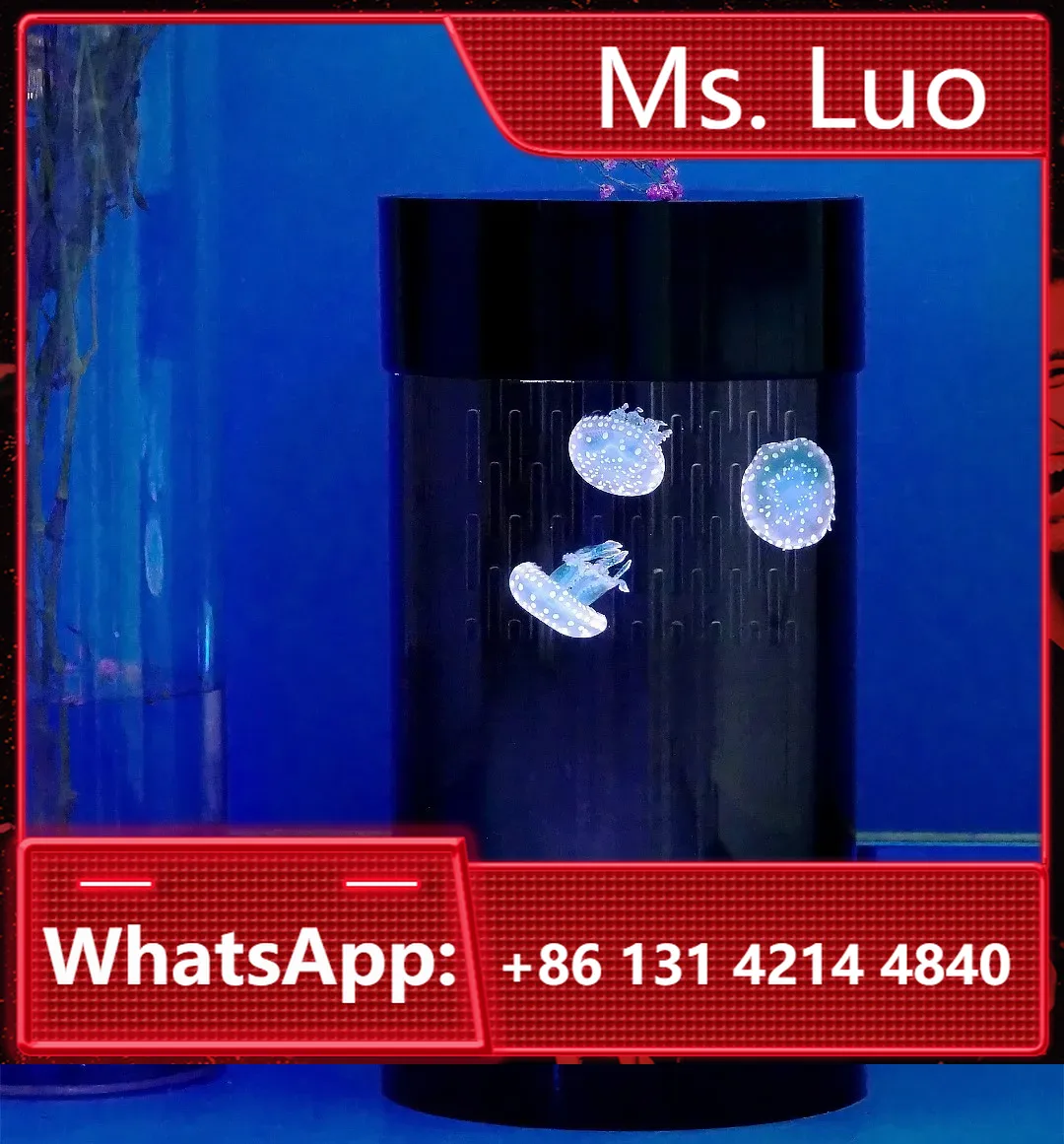 Best Amazon Sales Jellyfish Ta - Aquarium Fish Amazon review and price