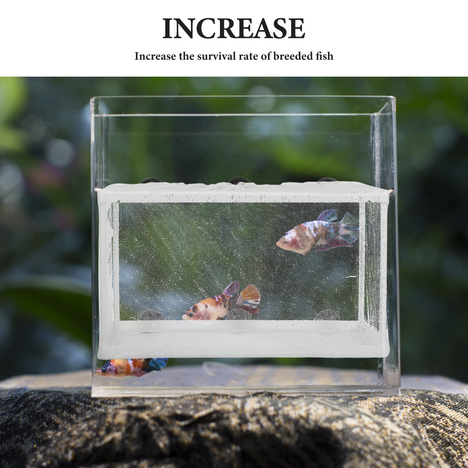 Large Fish Net Hatchery Incuba - Aquarium Fish Rate review and price