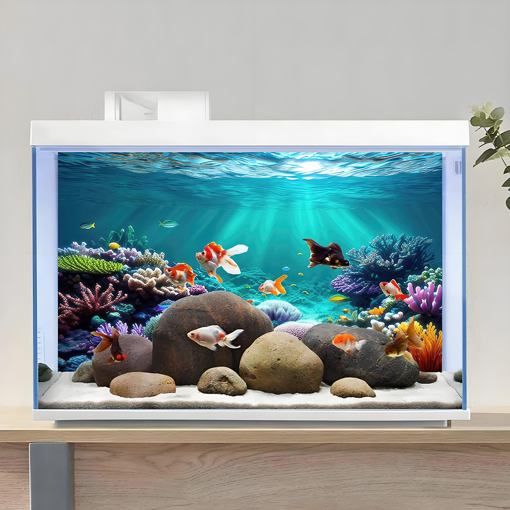 Aquarium Background, Backgroun - Aquarium Fish Rainbow review and price
