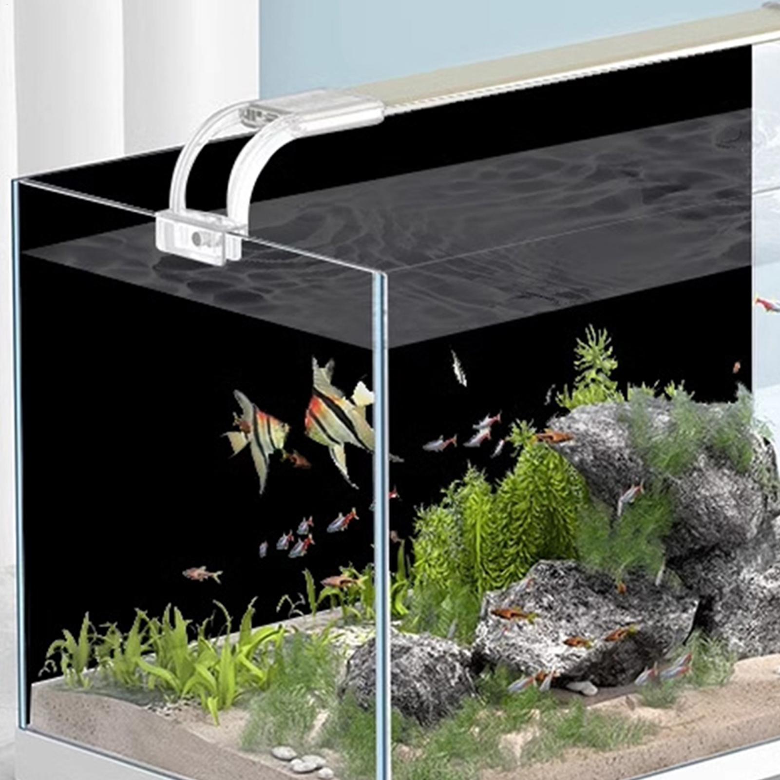 Fish Tank BackgroundSticker Bl - Aquarium Fish Background review and price