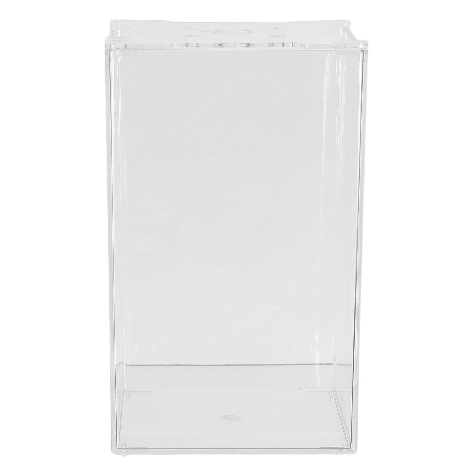 Creative Desktop Thailand Bett - Aquarium Fish In Thailand review and price