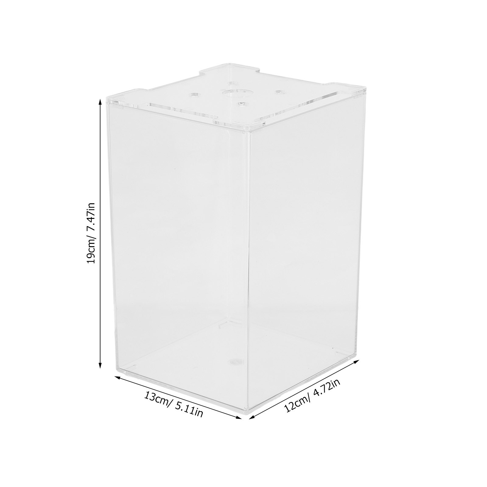 Creative Desktop Thailand Bett - Aquarium Fish In Thailand review and price