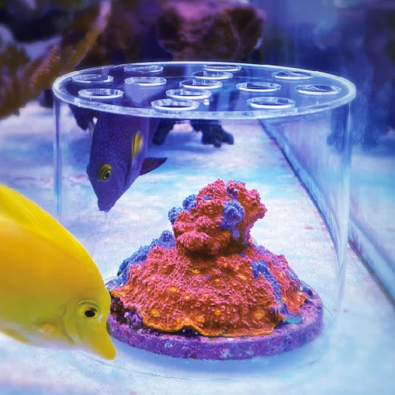 Vastocean Aquarium Arcylic Cor - Aquarium Fish Freshwater review and price