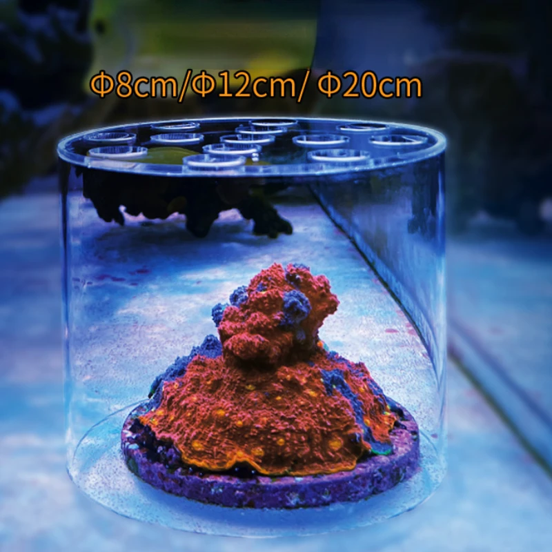 Vastocean Aquarium Arcylic Cor - Aquarium Fish Freshwater review and price