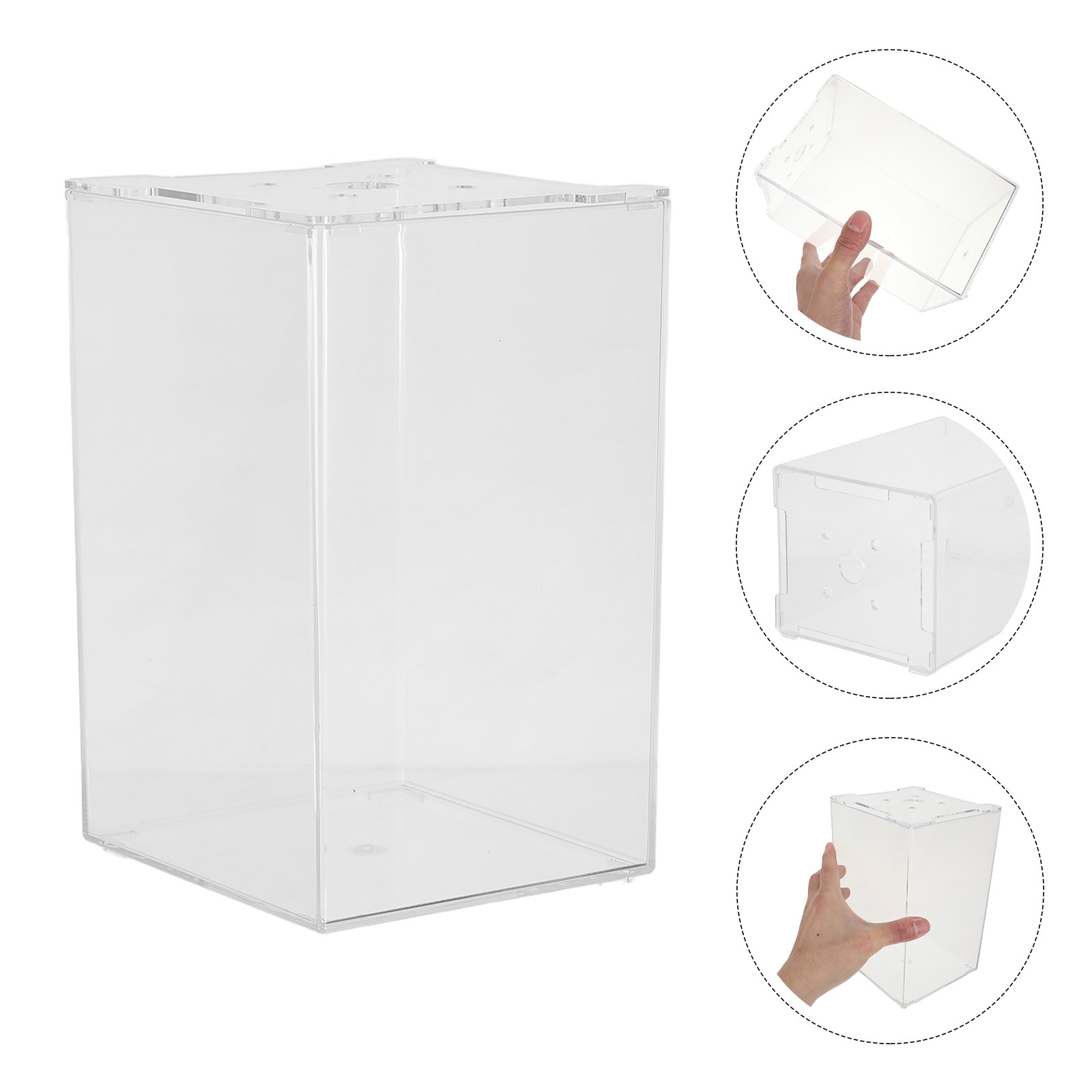 Small Acrylic Thailand Betta F - Aquarium Fish In Thailand review and price