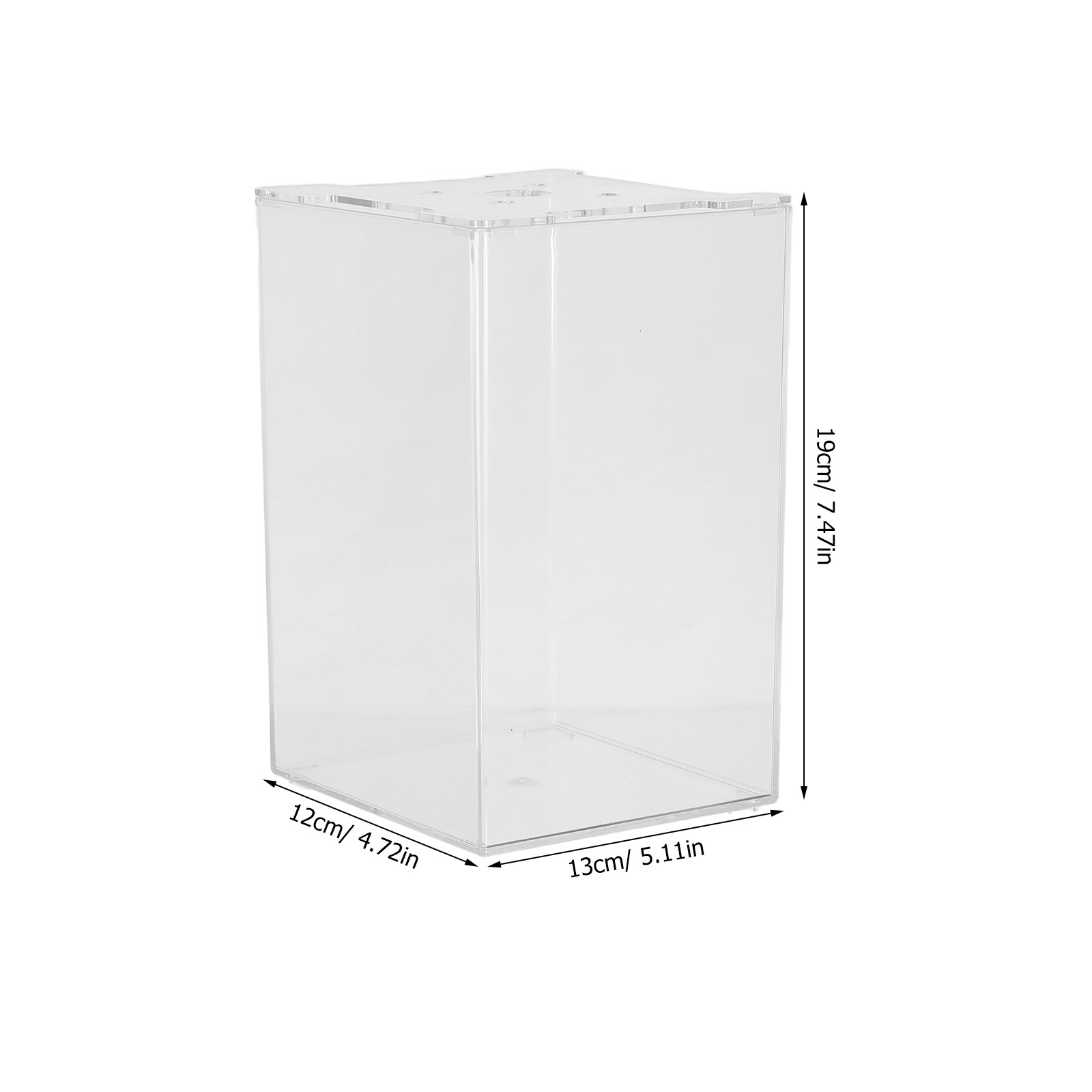 Small Acrylic Thailand Betta F - Aquarium Fish In Thailand review and price
