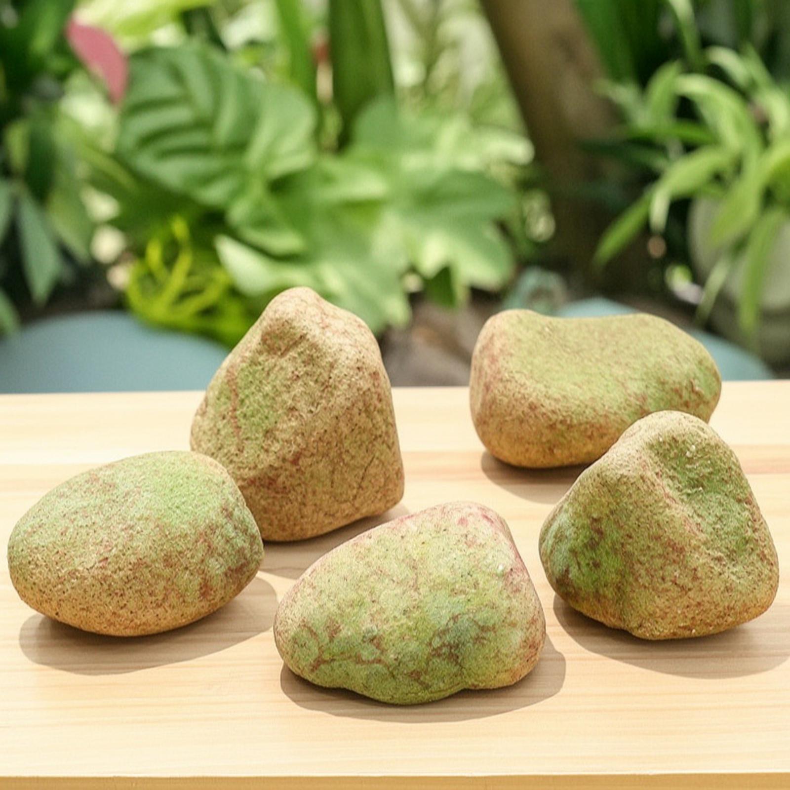 Realistic Faux Stone Display I - Aquarium Decoration Rock review and price