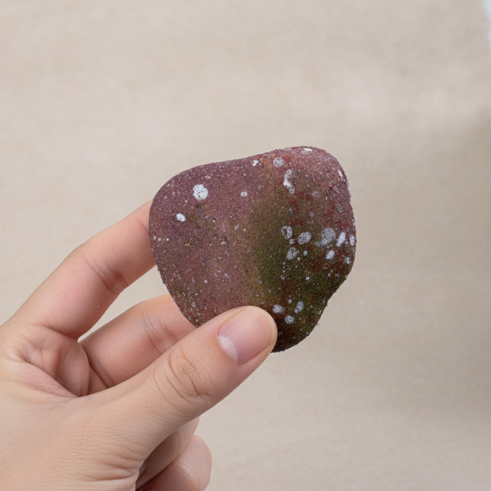 Realistic Faux Stone Display I - Aquarium Decoration Rock review and price