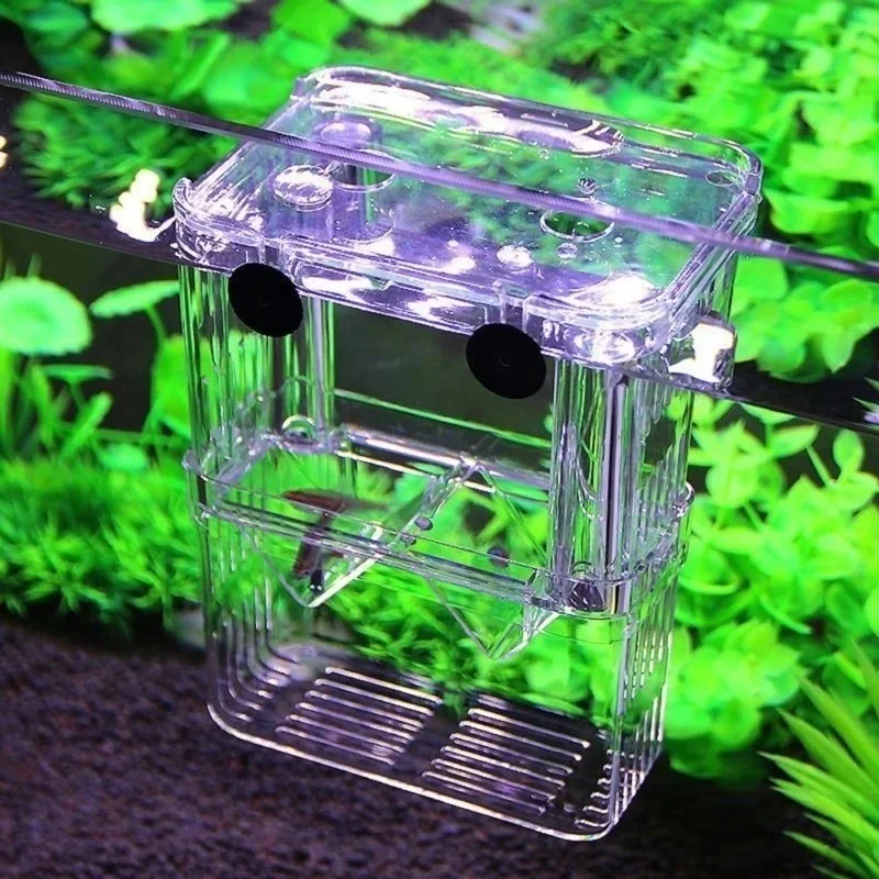 Multifunctional Fish Aquarium  - Aquarium Fish Background review and price