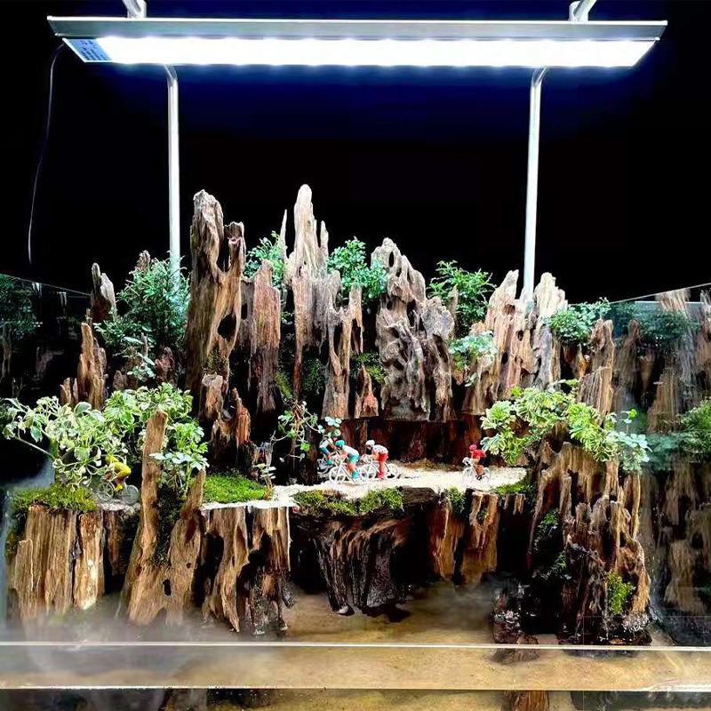 △ Shrimp Wood Aquarium Decor,  - Aquarium Fish Enrichment review and price