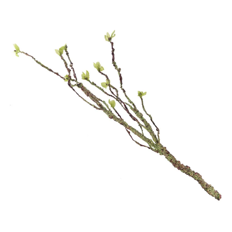 Vines Decor Climbing Branches  - Aquarium Fish Enrichment review and price